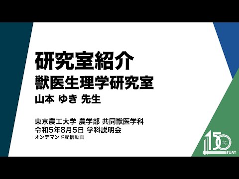 共同獣医学科 研究室紹介 獣医生理学研究室 山本ゆき先生