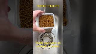 Perfect Pellets for method feeder fishing