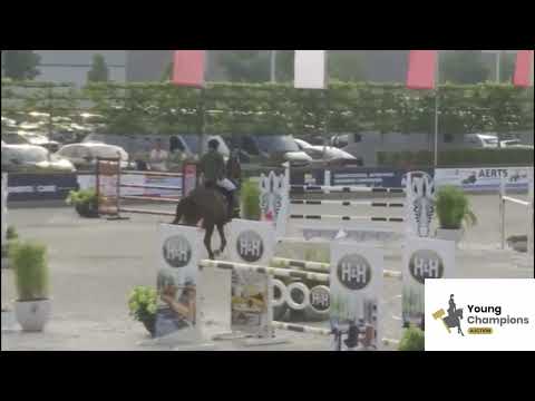 Kafka van Paebroeck Z