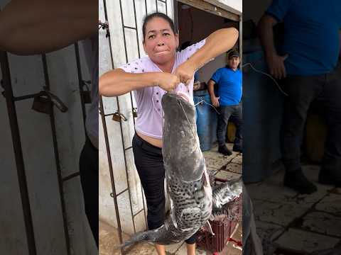 EN LA APARTADA, CÓRDOBA 🇨🇴#shortsviral #shorts