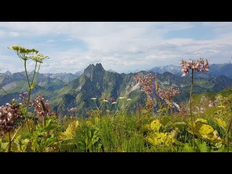 Steinbocktour im Allgäu Juli 2018