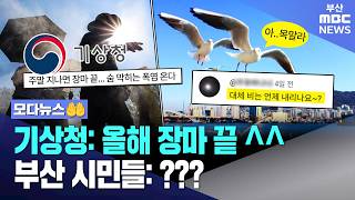 비 한 방울 안 내렸는데 장마 끝이라고? 황당한 부산 시민들 | 모다뉴스