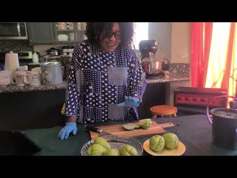 Grow Chayote Pear Squash | Mirilton | Chocho, Choko Plants & Health Benefits | Chayote Taste Test