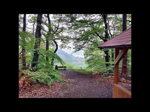 Rheinburgenweg 03. Etappe Bad Breisig - Andernach - 20 km
