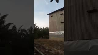 Download lagu BUKTI NYATA TOP SANDRO DI KALIMANTAN BERAU 081355617799 mp3 Download lagu BUKTI NYATA TOP SANDRO DI KALIMANTAN BERAU 081355617799 mp3