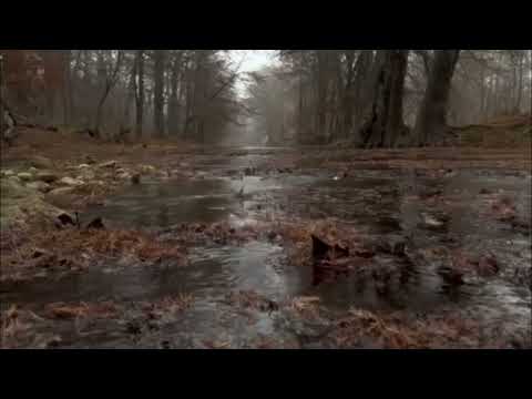 Menty - Breathe (Video) || Royalty Free