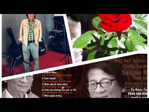 Quán không - Cung Minh Huân