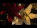 Tu - Gal Costa [Letra]