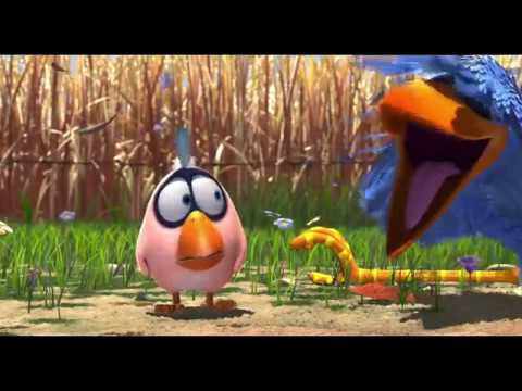 Cartoon - Birds (Part 2)