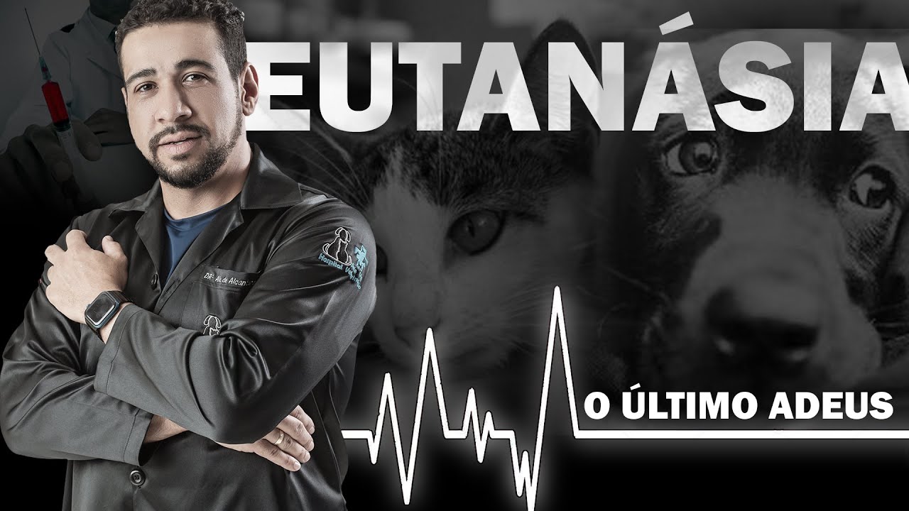 EUTANÁSIA / SACRIFICAR - Qual o momento dessa DIFÍCIL decisão?