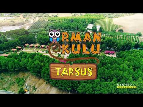 download lagu mp3 mp4 Orman Okullar Trkiye, download lagu Orman Okullar Trkiye gratis, unduh video klip Orman Okullar Trkiye