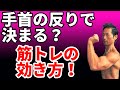 手首の反りで決まる?筋トレの効き方! ベンチプレス、ショルダープレス、ラットプルダウン、ベントオーバーロウの効き方が変わる!