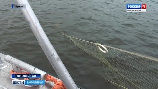 Нарьян-мар рыбалка на семгу