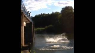 preview picture of video 'Dam in the Pine Grove, Yoshkar-Ola, Russia'