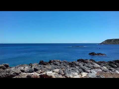 The Es Canar Project 2 Ibiza