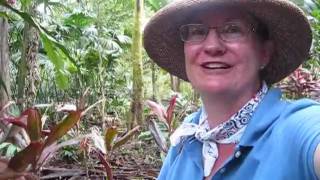 preview picture of video 'Travel Tip - Rain Forest Essentials.wmv'