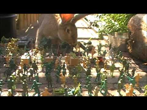 King Kong - Edit By Timo De Wit