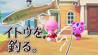 【あつまれどうぶつの森】イトウちゃん釣るお～！！【ゾンビっ娘Vtuber】