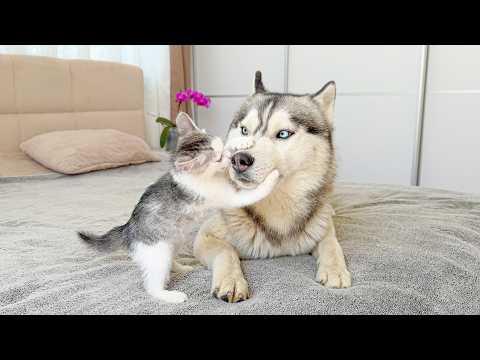 YouTube 썸네일
