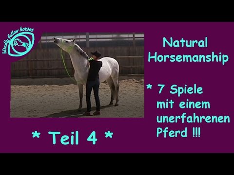 7 games according to Parelli with an inexperienced horse! Natural Horsemanship series *** Part 4 ***