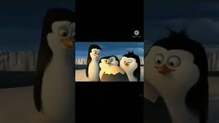Download lagu PENGUIN AGEN PEKOB VIRAL! DI JAMIN MENGOCOK PERUT! mp3