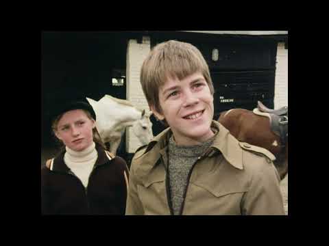 Fünf Freunde im Nebel - Serie 1 Folge 10 - Fünf Freunde 1970's HQ