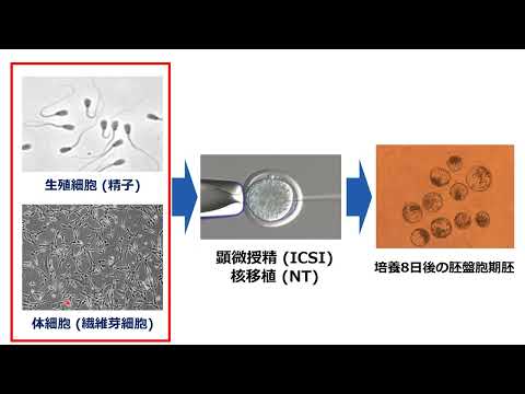 第2回農林海洋科学部DSDXセミナー