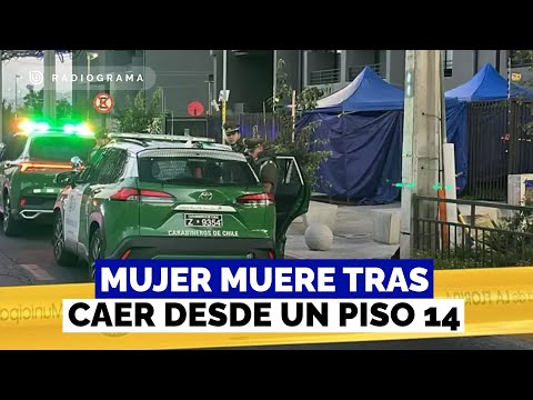Mujer muere tras caer desde piso 14 en La Florida: horas antes protagonizó episodio de VIF