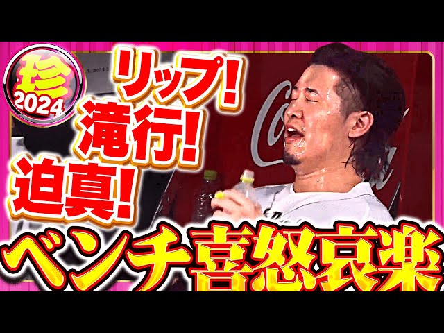 【色々起こる】ベンチ喜怒哀楽まとめ2024