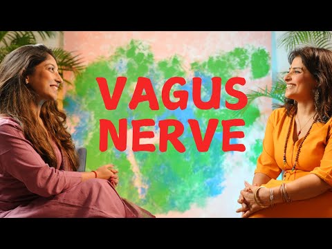 What Is the Vagus Nerve