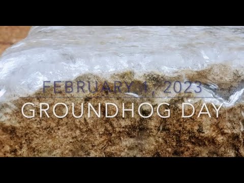 Ice Storm in Austin January 2023