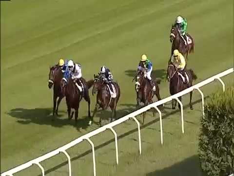 2017.09.23 Premio Criterium Nazionale (ITA) - Sestilio Jet