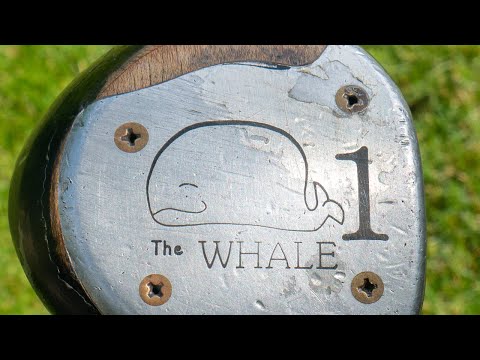 1991 Wilson The Whale Driver