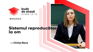 "Sistemul reproducător la om"