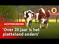 Als boer iets nieuws beginnen? Strenge regels staan vaak in de weg | Omroep Brabant