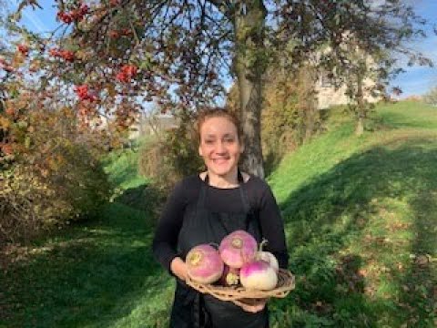 eingemachte Rüben#gemüse #braten #foodshorts #food #rezept #wildkräuter #veggies #tastyfood #kochen