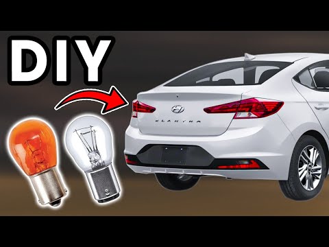 DIY 2019-2020 Hyundai Elantra Tail Light Bulbs Replacement | Replace Hyundai Elantra Rear Turn Signal