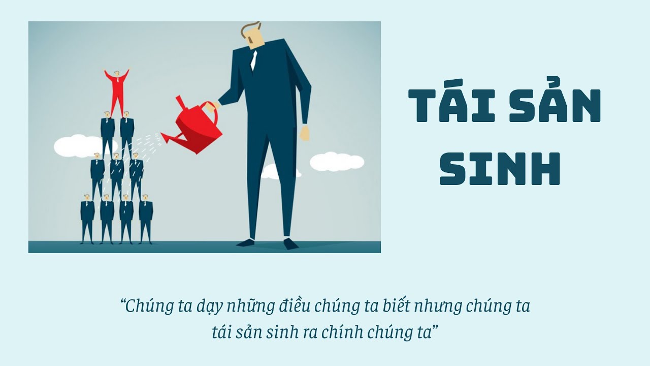 Nguyên tắc 13: TÁI SẢN SINH