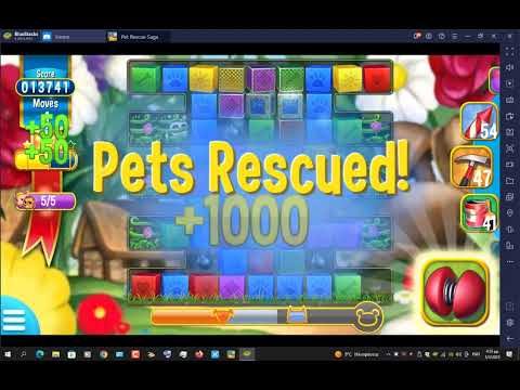 PET RESCUE SAGA LEVEL 2201,2202,2203,2204,2205,2206,2207,2208,2209,2210