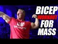 4 Exercise Bicep Workout for Mass