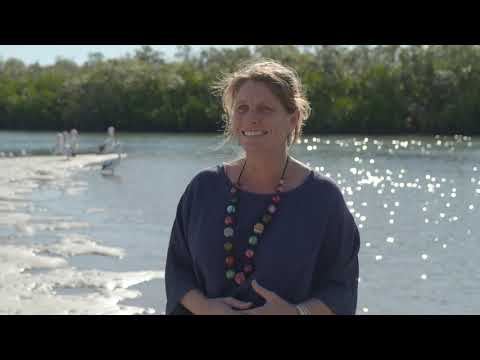 Cruise the Tweed River with Tweed Eco Cruises, NSW North Coast