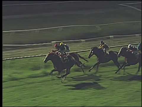 Galoppo 29/07/2016 - 6° corsa TRIS