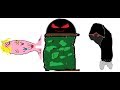 Rybki Z Ferajny 1 4 Wizyta Znajomego