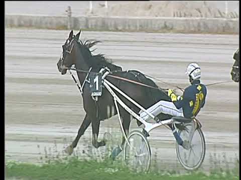 Trotto 15/04/2018 - 3ª corsa