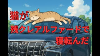 【歌】猫が残クレアルファードで寝転んだ