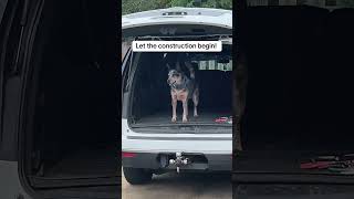 Download lagu Today is closing day! We’ve been working on harvest and haven for a few years now, but ran out of mp3 Download lagu Today is closing day! We’ve been working on harvest and haven for a few years now, but ran out of mp3