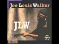 Joe Louis Walker - I Need Your Lovin' (Don ...