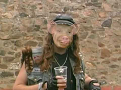 Morčata na útěku - Planeta prasat