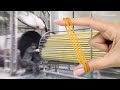 Process of Making Rubber Bands. Incredible! The Last Factory in Korea