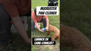 Mudbuster puppy paw cleaner by Dexas: It really works!